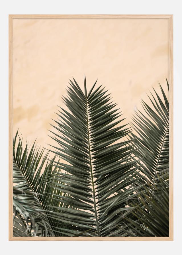 Palm leaves and wall Постер