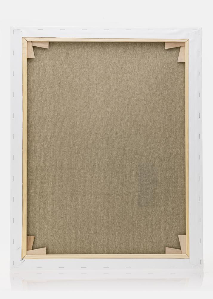 Платно за рисуване Премиум бяло 40x50 cm