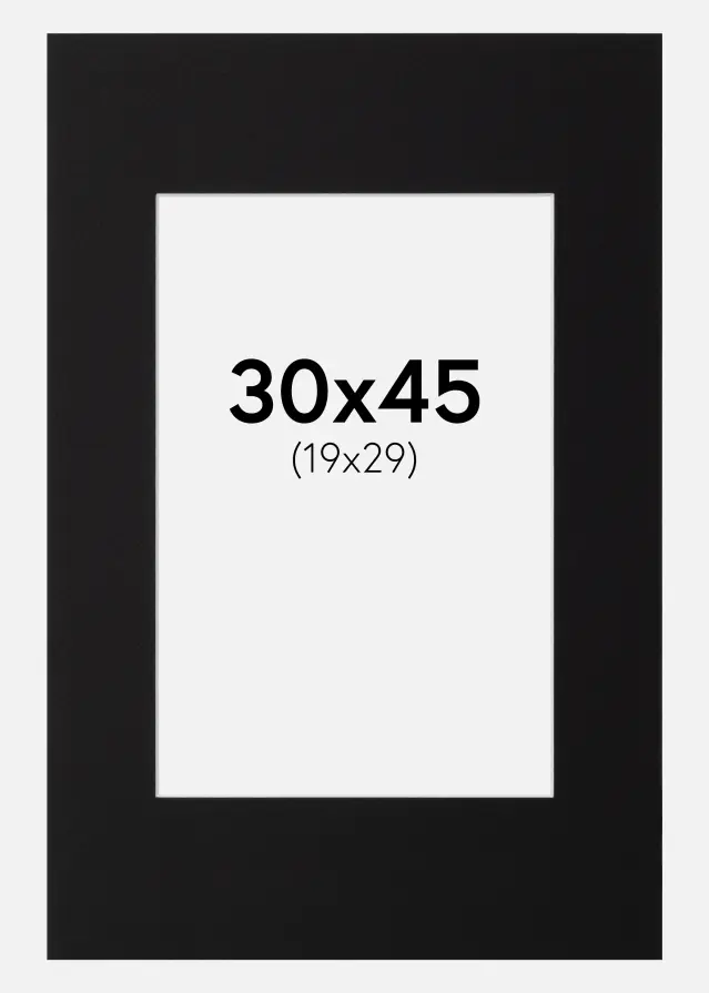 Паспарту Canson Черно Бяло ядро 30x45 cm (19x29)