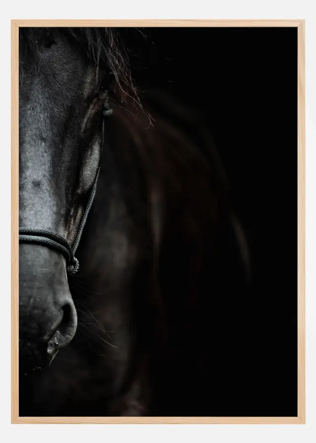 Dark Horse Постер