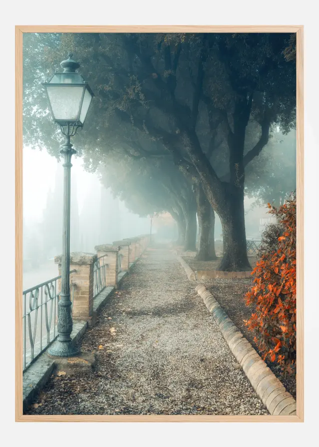 Fogy autumn day Постер