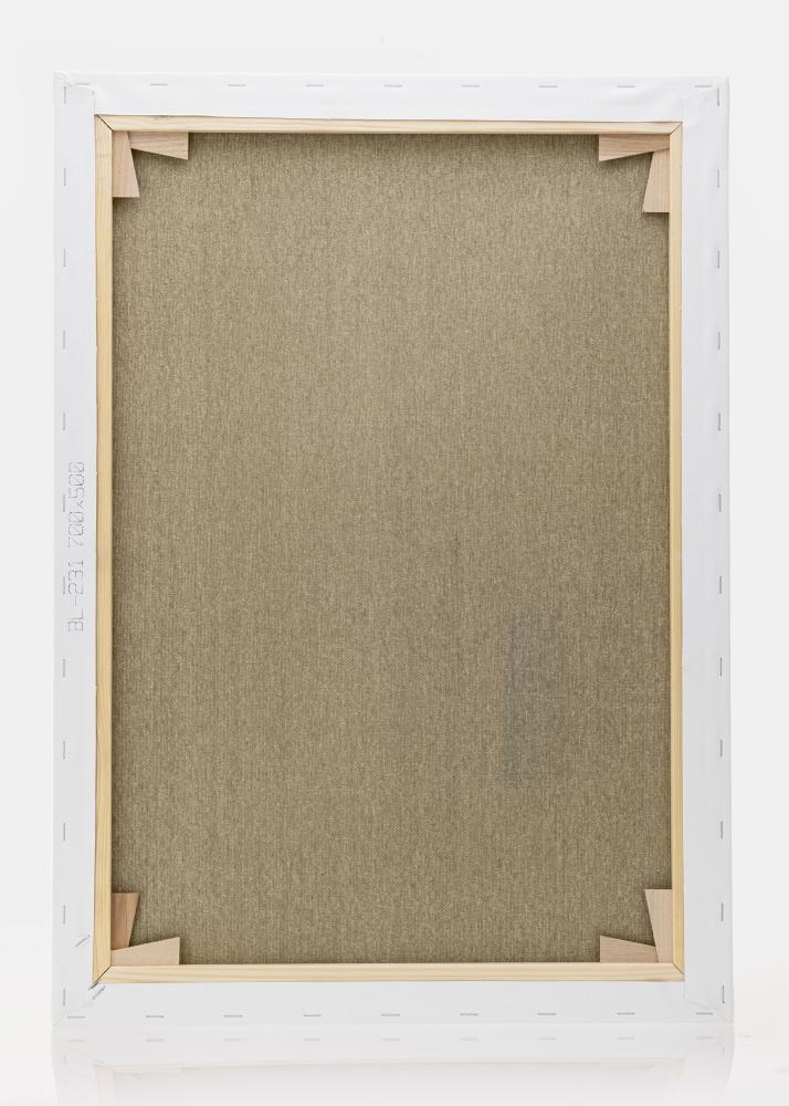 Платно за рисуване Премиум бяло 50x70 cm