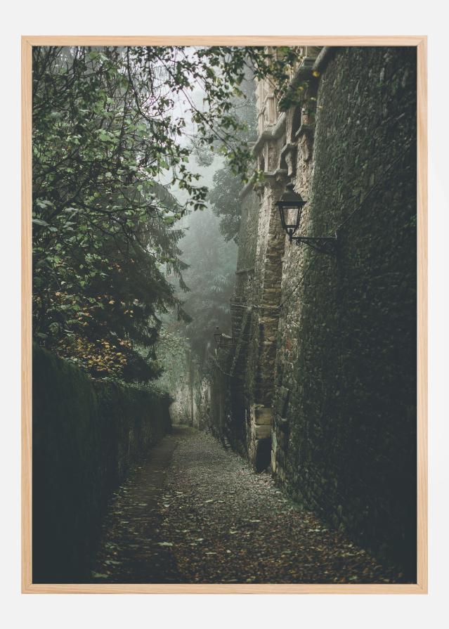 Fogy street Постер