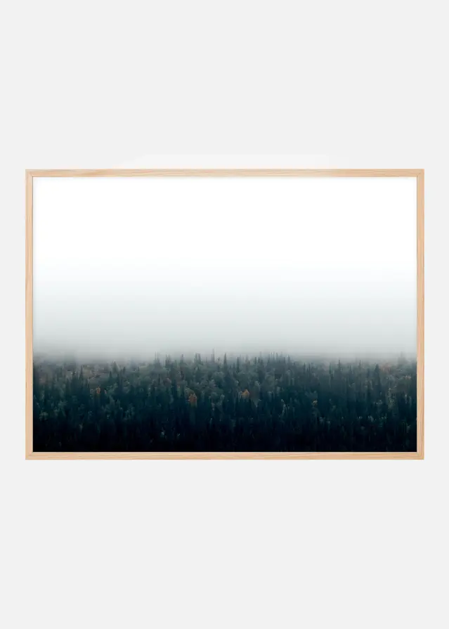 Forests in fog Постер
