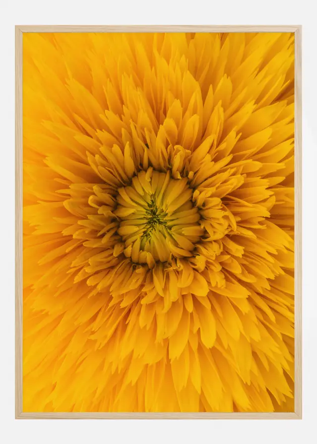 Upclose Flower Постер