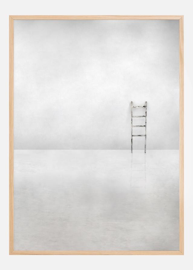 The social ladder Постер