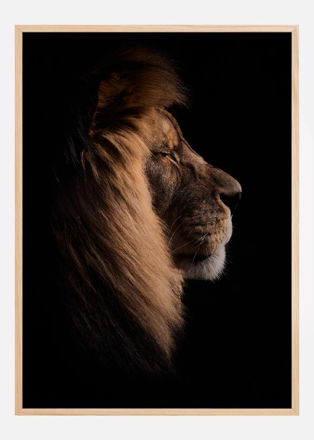 Sleeping King Постер