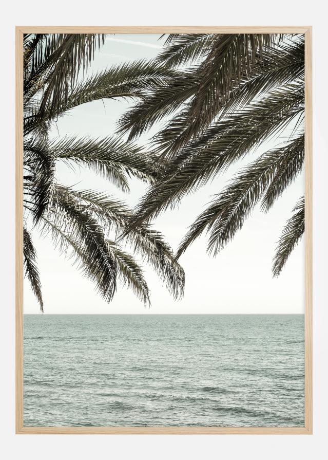 Solaris II Постер