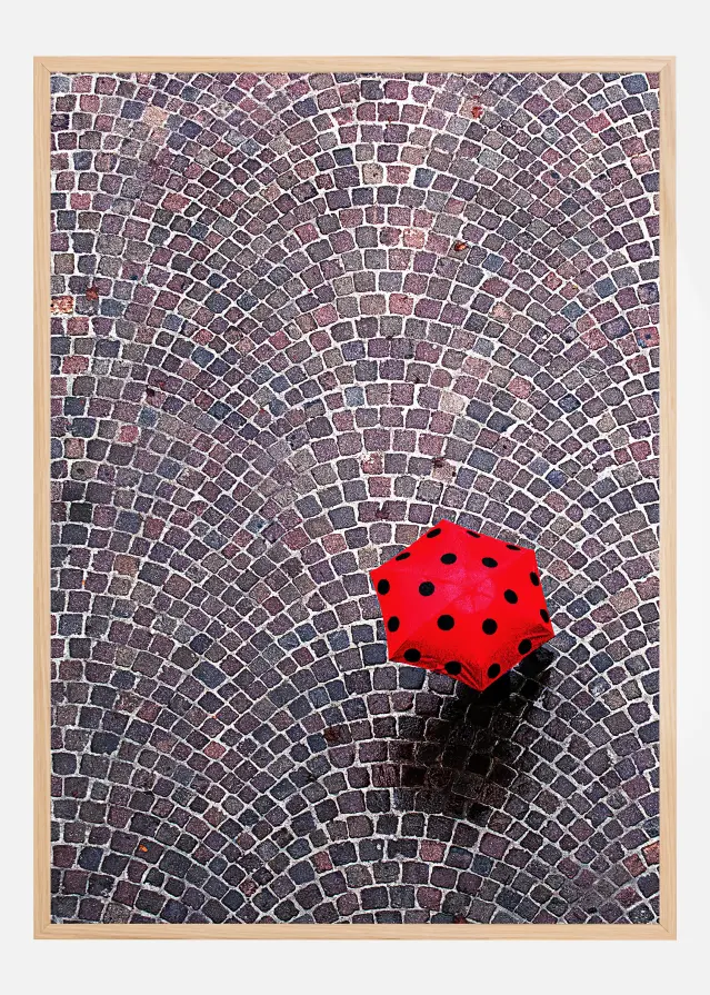 Urban Ladybug Постер