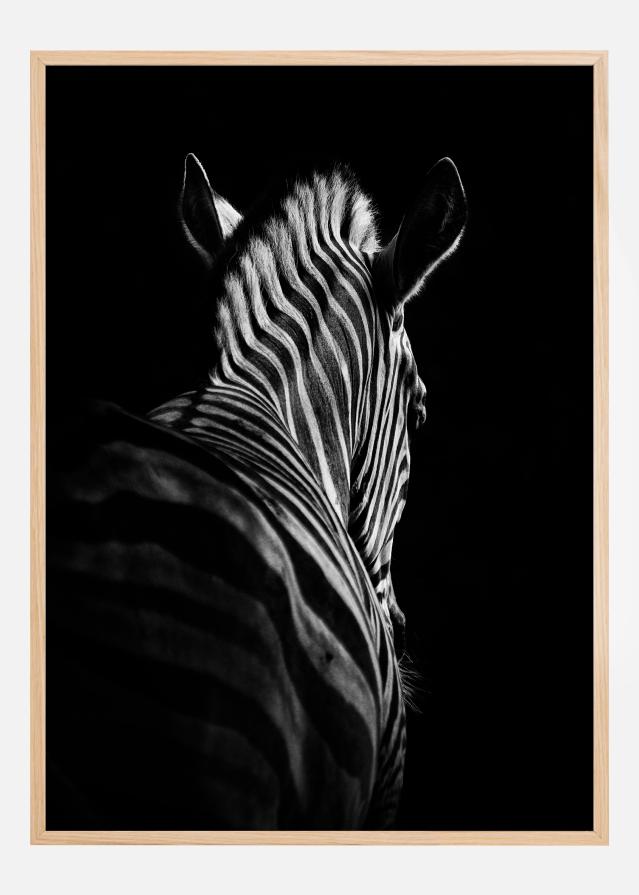 Stepping Down Постер