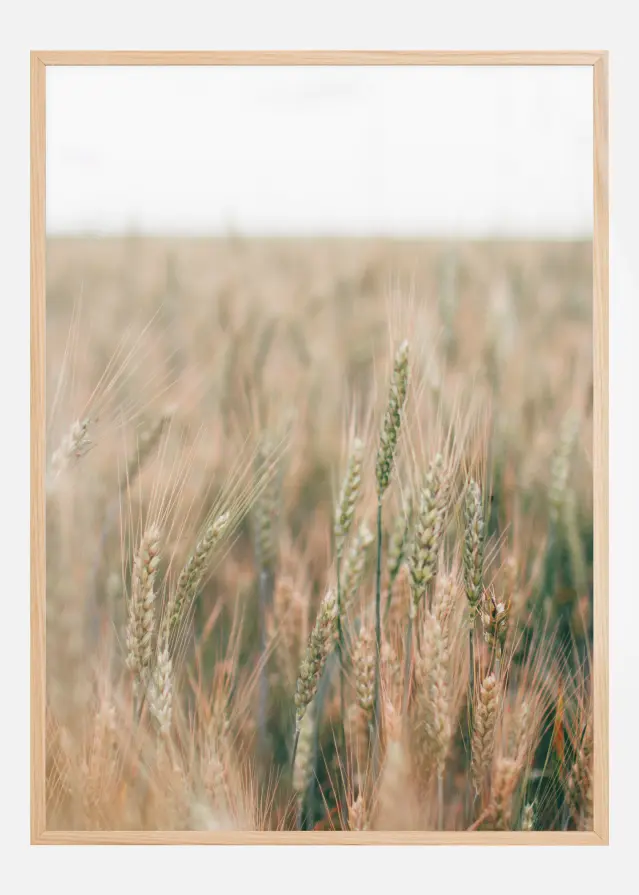Summer Fields Постер