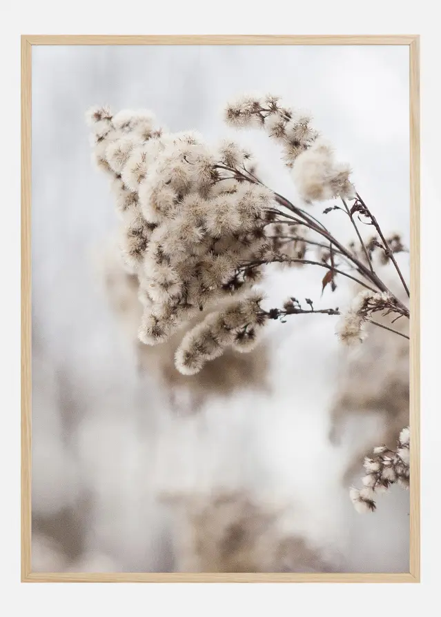 Winter Is Coming Постер