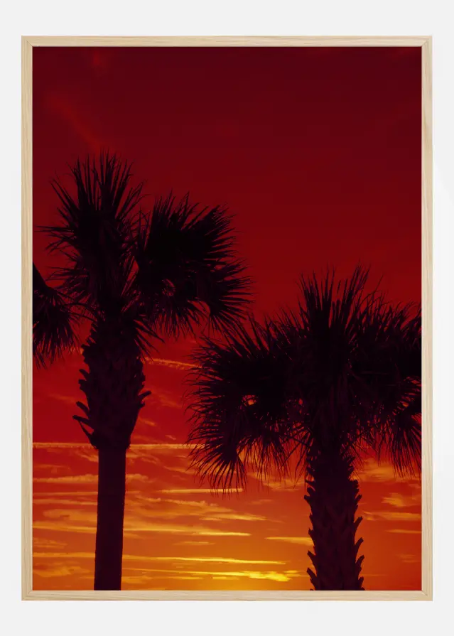 Red Palms Постер