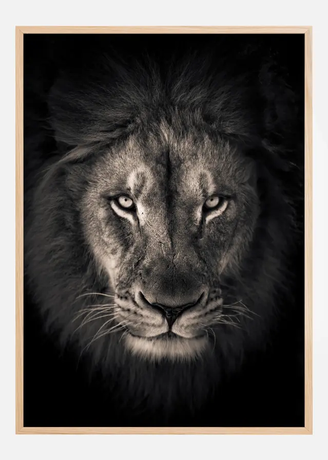 The king Постер