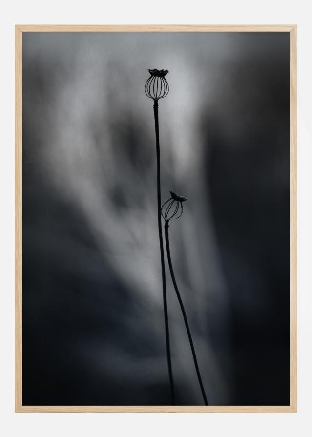 From Last Year Постер