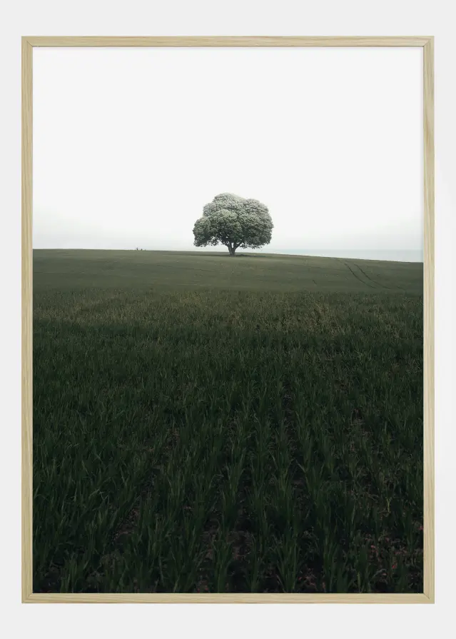 The lonely oak tree Постер