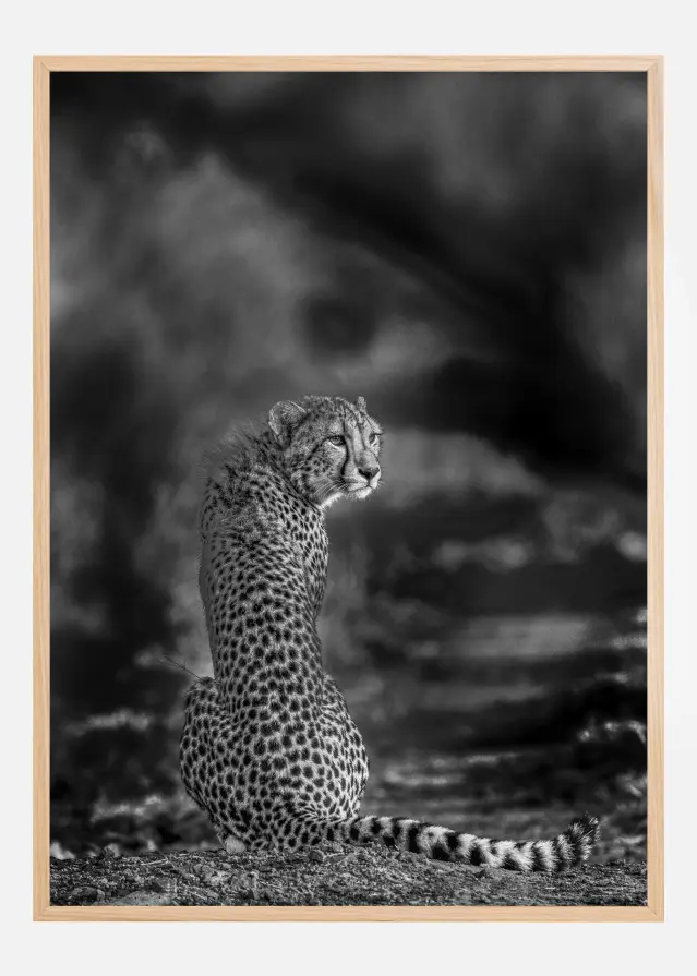 The look back Постер