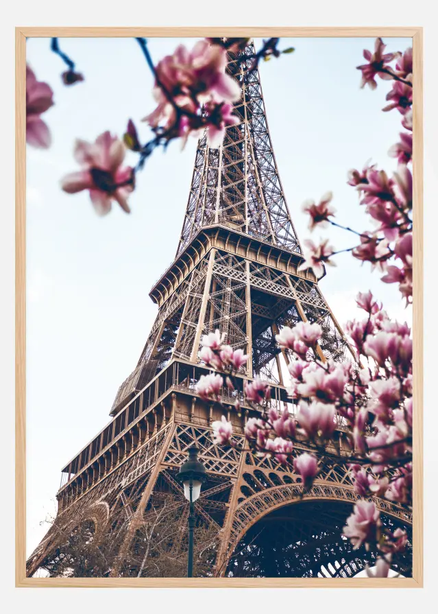 Eiffel Tower Blossoms Постер