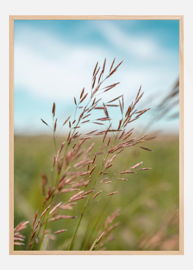 Summerday Постер