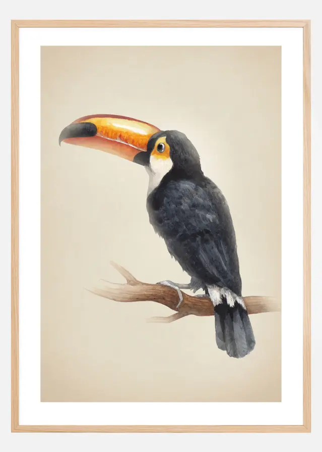 Tropical Toucan Постер