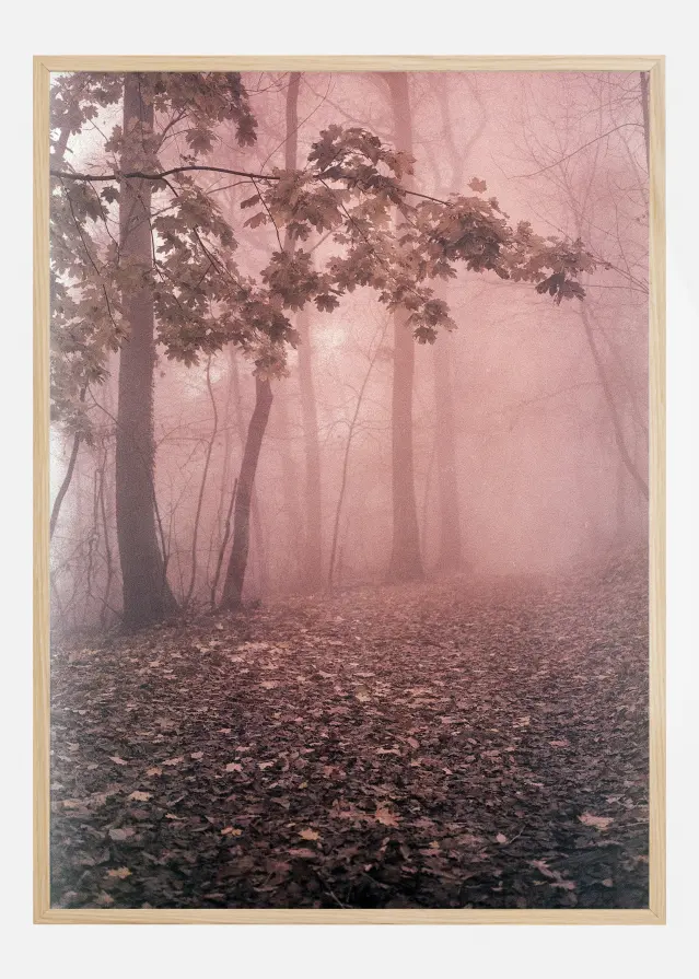 Pink Forrest Постер
