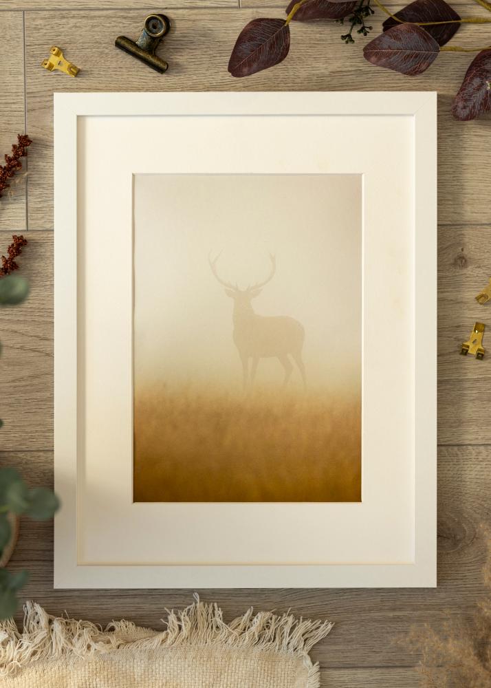 Рамка BGA Classic Акрилно стъкло бяло 35x50 cm