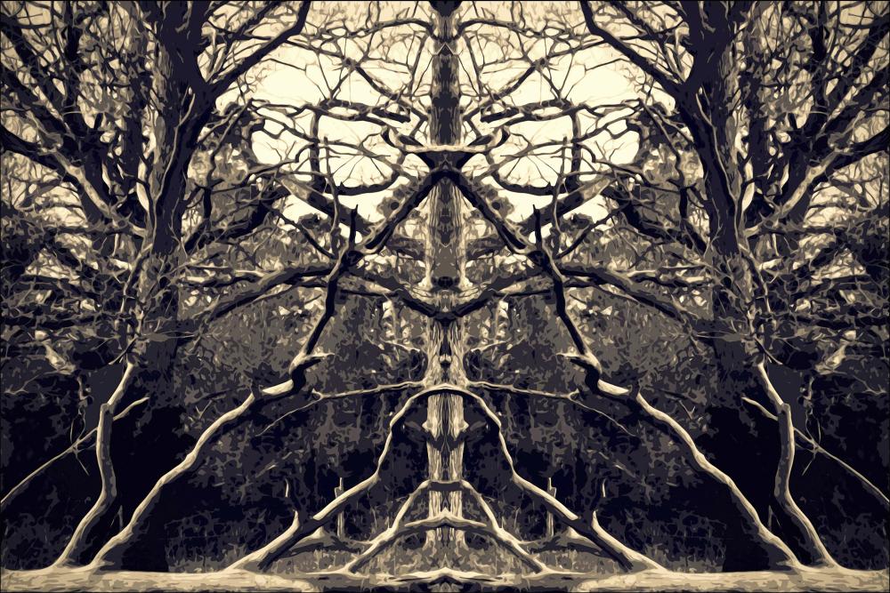 Brushwood Постер