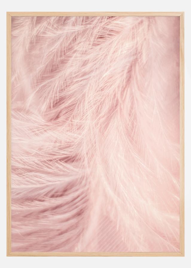 Pink Feathers Постер