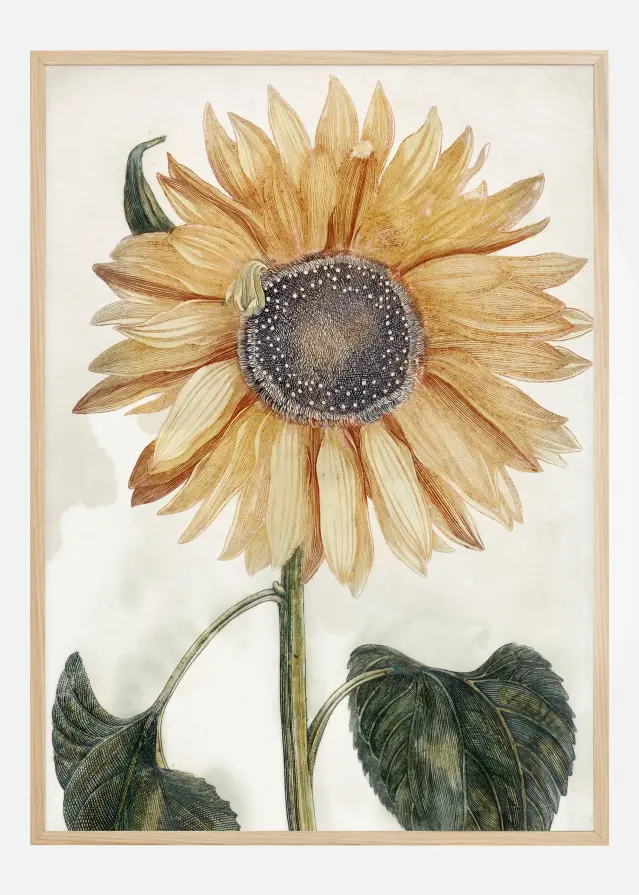 Sunflower Art Постер