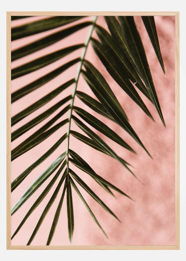 Pink pastell palm Постер