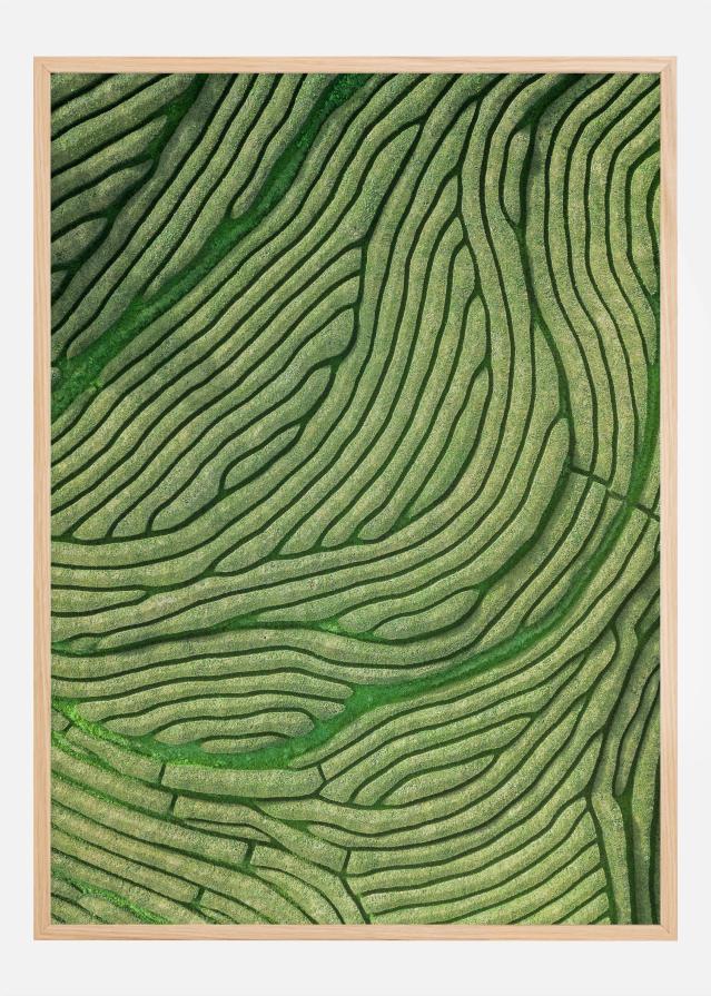 Green lines Постер