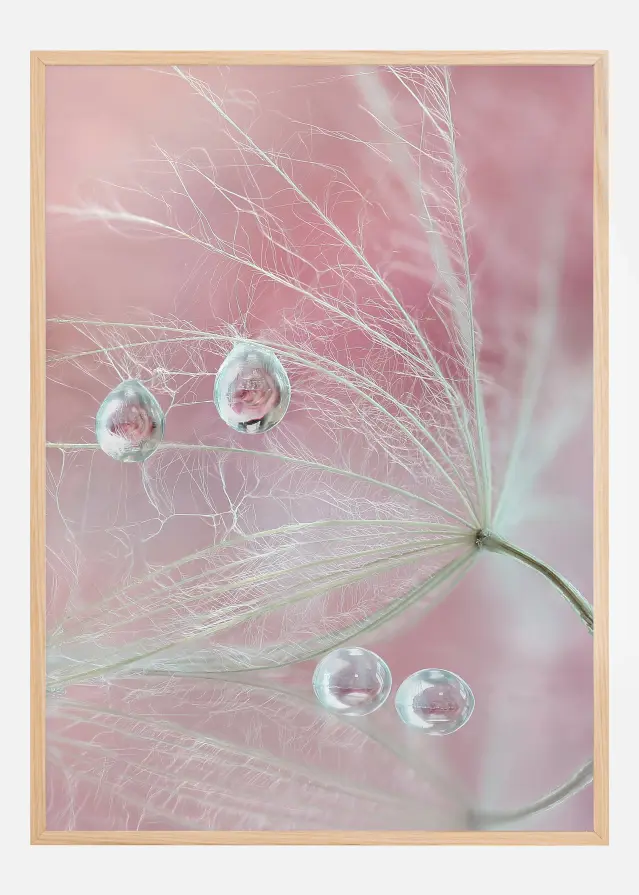 Two of us Постер