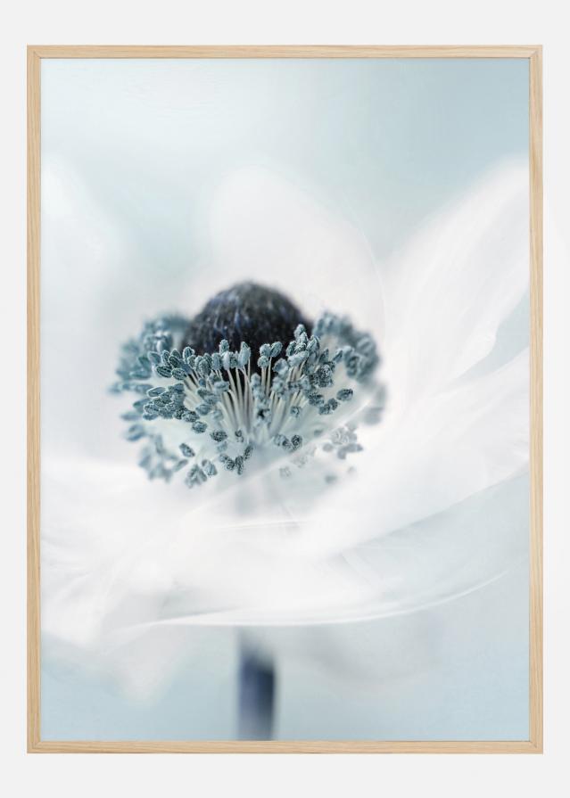 Candy floss Постер