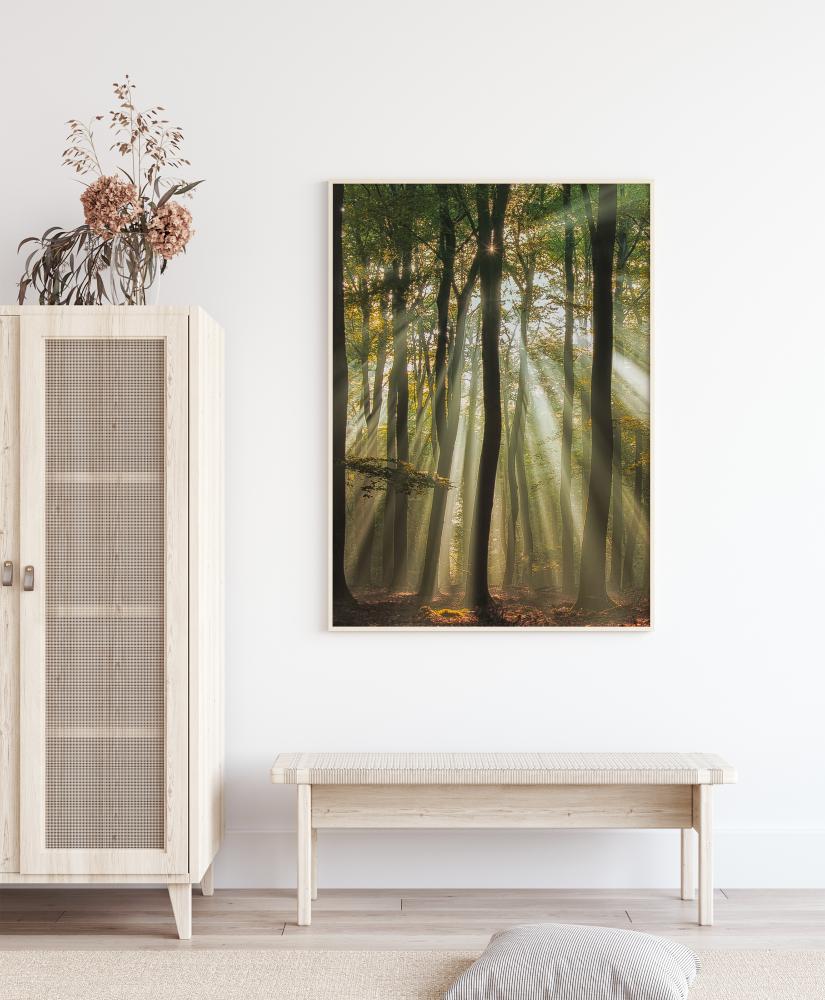 Sunny Start To The Day Постер