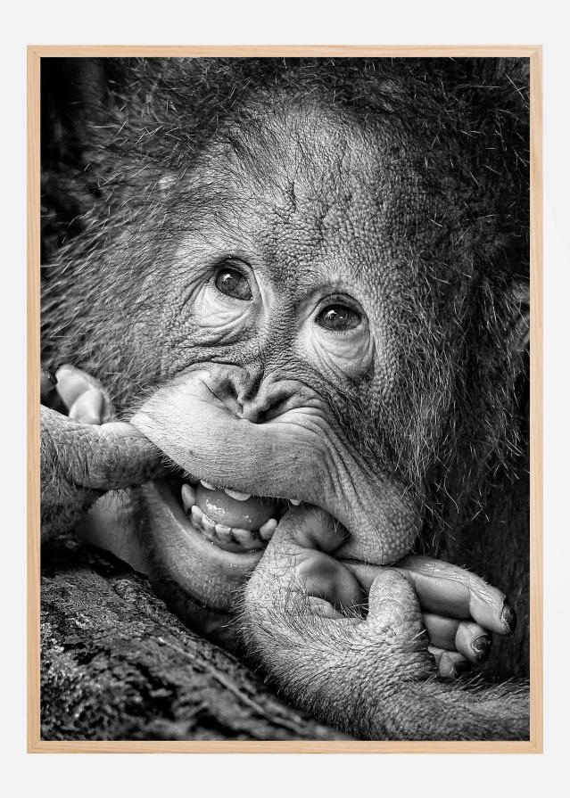 Big Smile.....please Постер