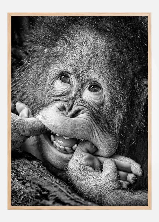 Big Smile.....please Постер