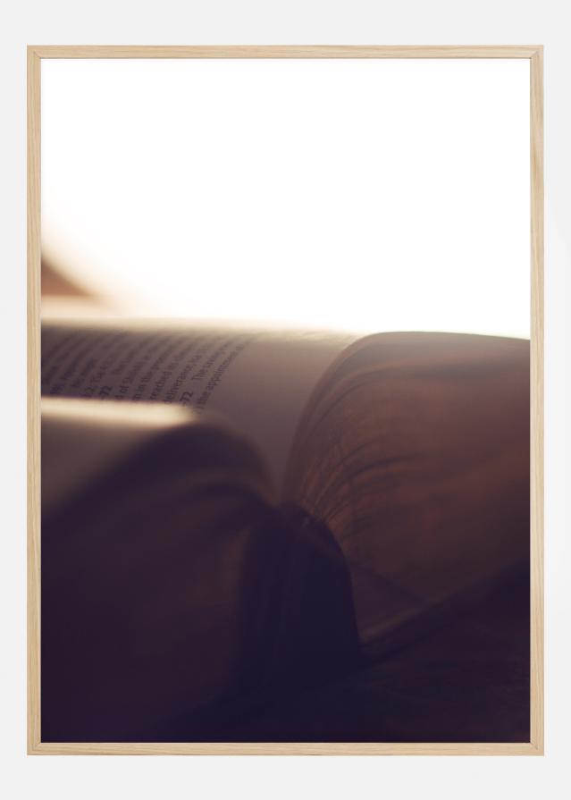 Book Of Light Постер