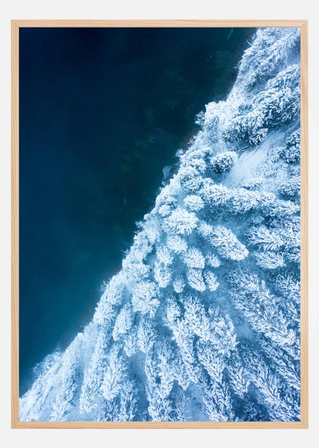 Frosty Forest Постер