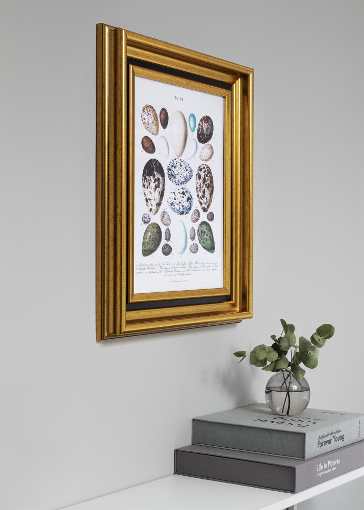 Рамка Gysinge Премиум Златно 70x90 cm
