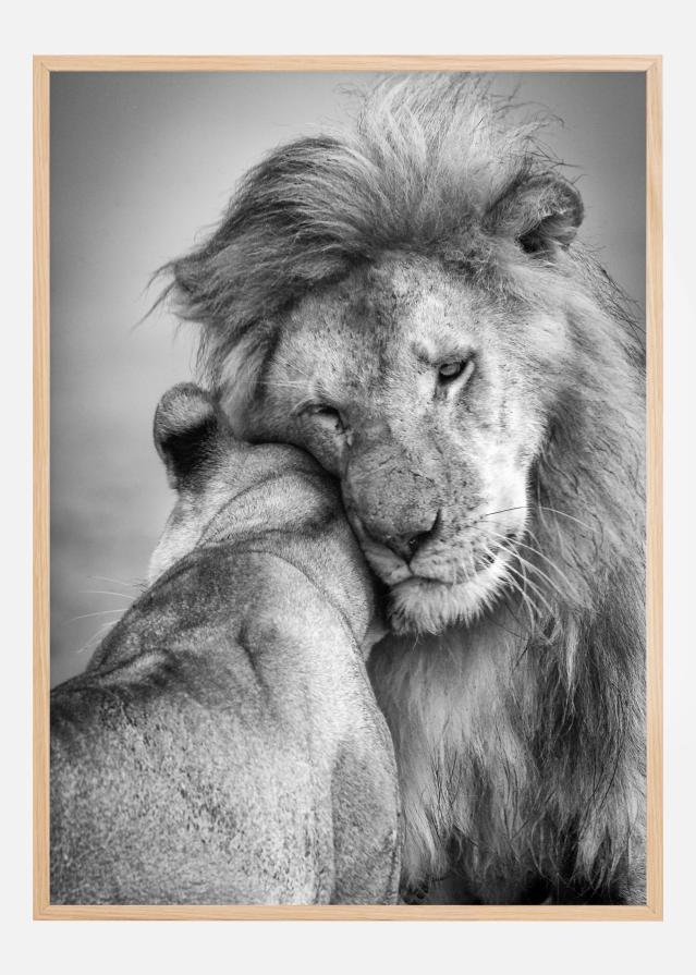 African Love! Постер