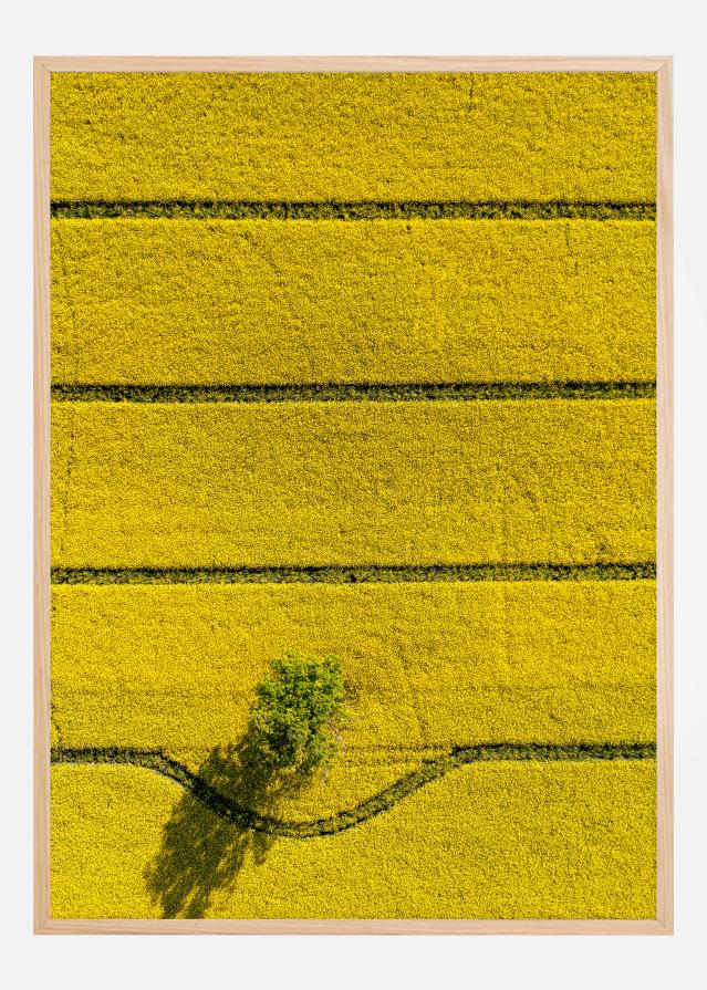 In My Way Постер