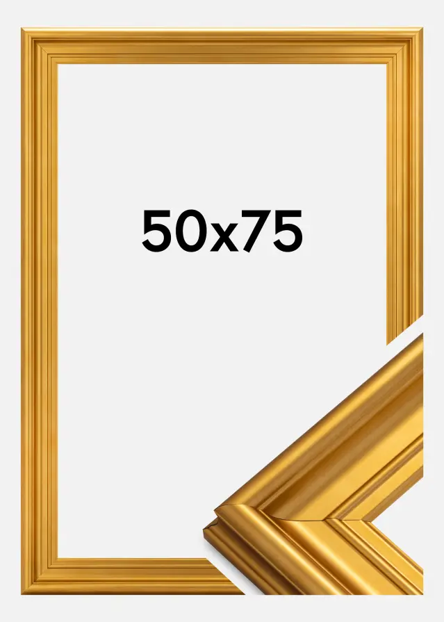 Рамка Mora Премиум Златно 50x75 cm