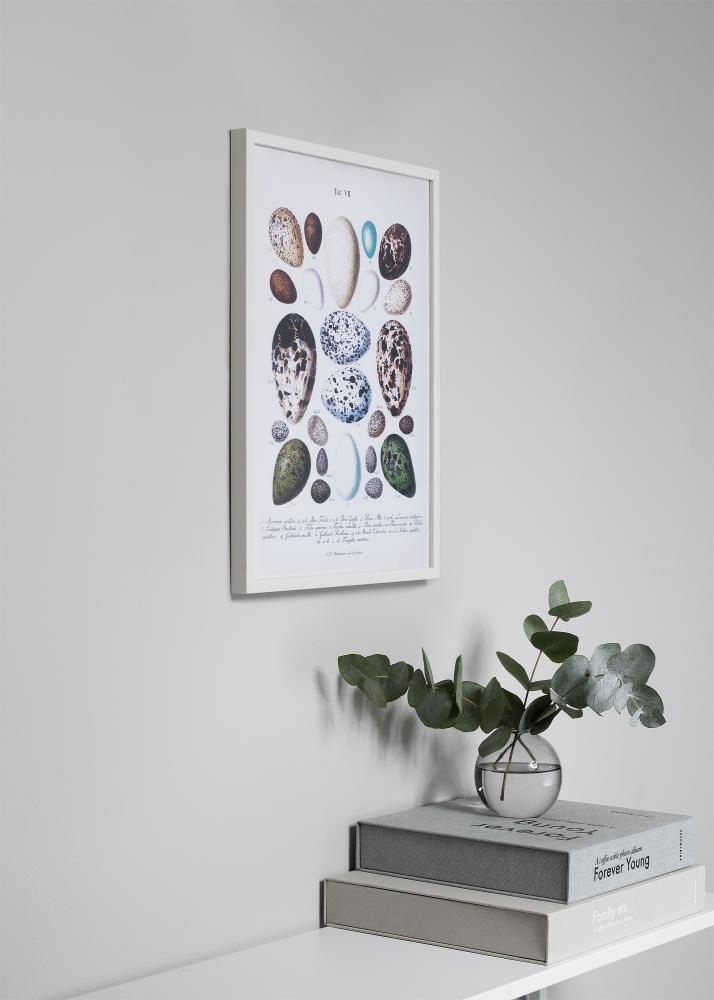 Рамка Oslo Акрилно стъкло бяло 70x100 cm