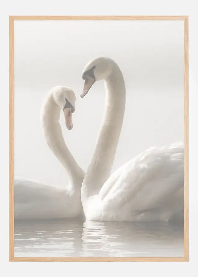 Swan Forever Постер