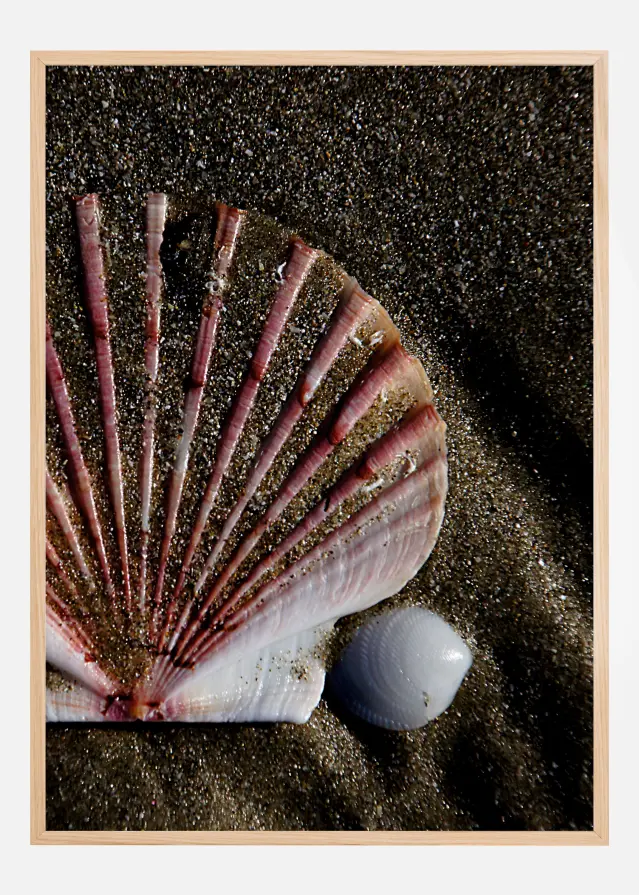 Shell Постер