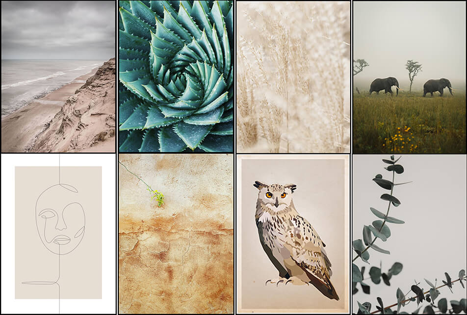 Постери в естествени цветове – природосъобразен интериор