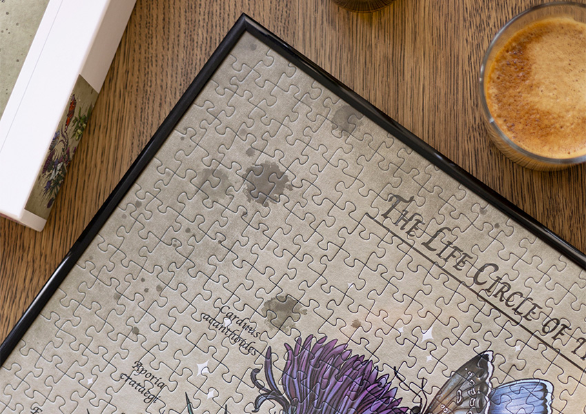 Рамки за пъзели